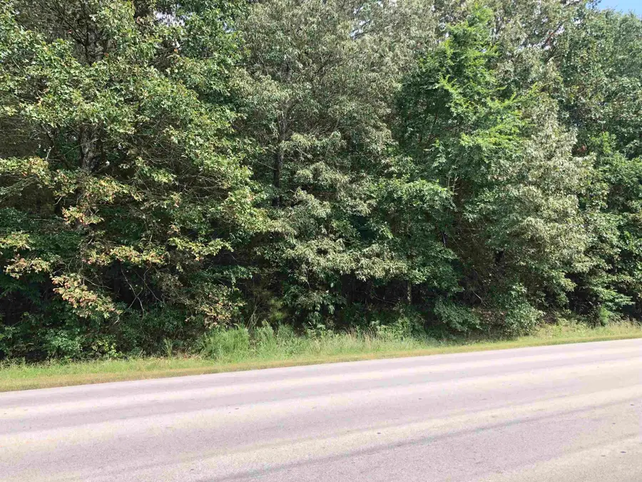 19 AC N Rockingchair Road, Paragould, AR 72450 - #3