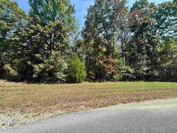 19998 Undersprings Drive, Alexander, AR 72002