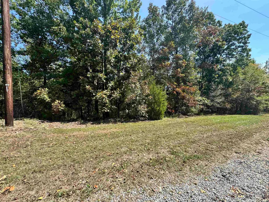 19998 Undersprings Drive, Alexander, AR 72002 - #3