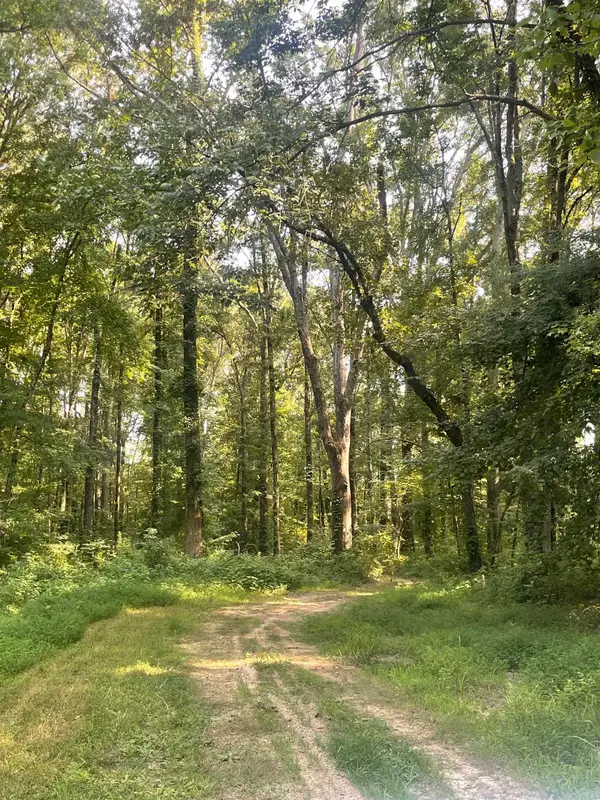 00 Warren Street, Cabot, AR 72023