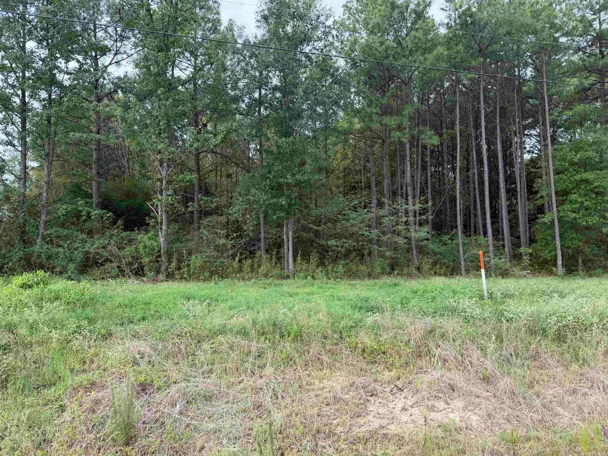 0 Sheridan Road, White Hall, AR 71602 - #1