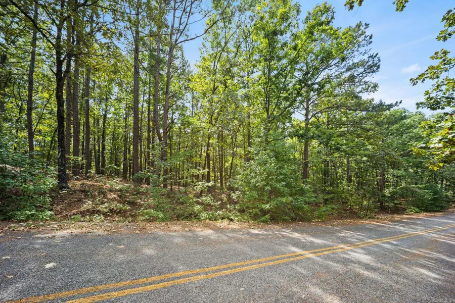112 Wilshire Ln, Fairfield Bay, AR 72088 - #3