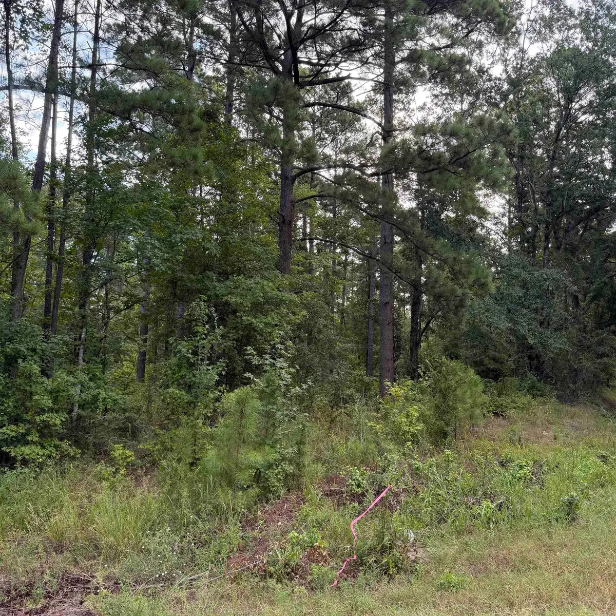 Lot 1 County Rd 8, Sheridan, AR 72150 - #1