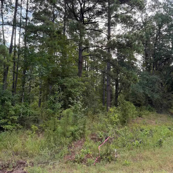 Lot 1 County Rd 8, Sheridan, AR 72150