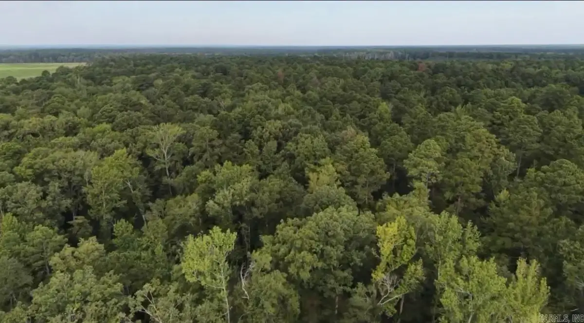 Lot 5 County Rd 8, Sheridan, AR 72150 - #1
