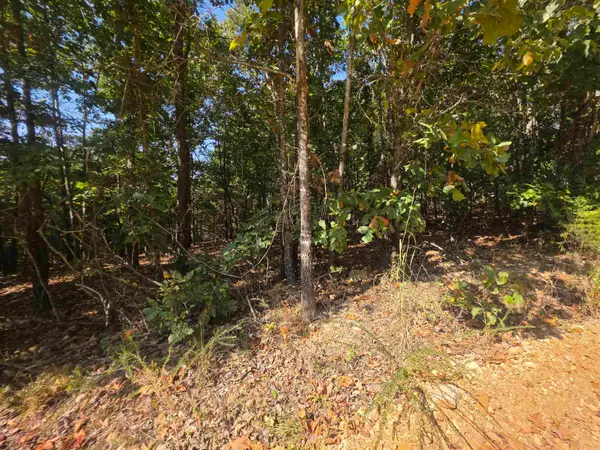 1.8 Anchor Lake Drive, Hardy, AR 72542