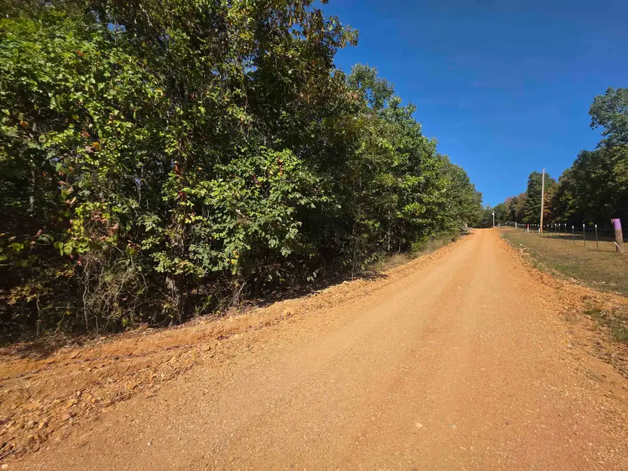 1.8 Anchor Lake Drive, Hardy, AR 72542 - #2