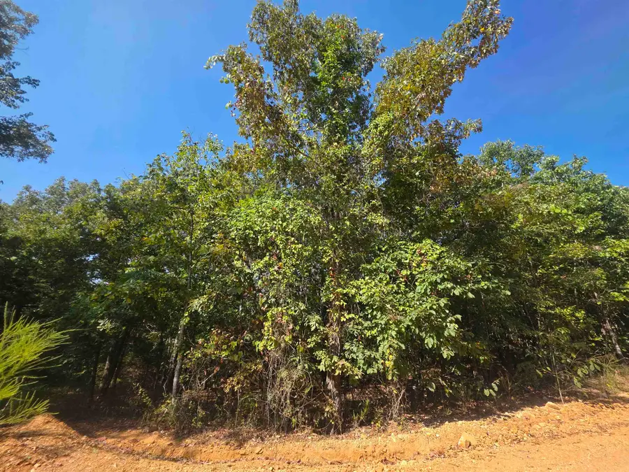 1.8 Anchor Lake Drive, Hardy, AR 72542 - #3
