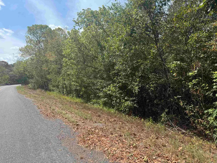 216 Polk Road 95, Mena, AR 71953 - #2