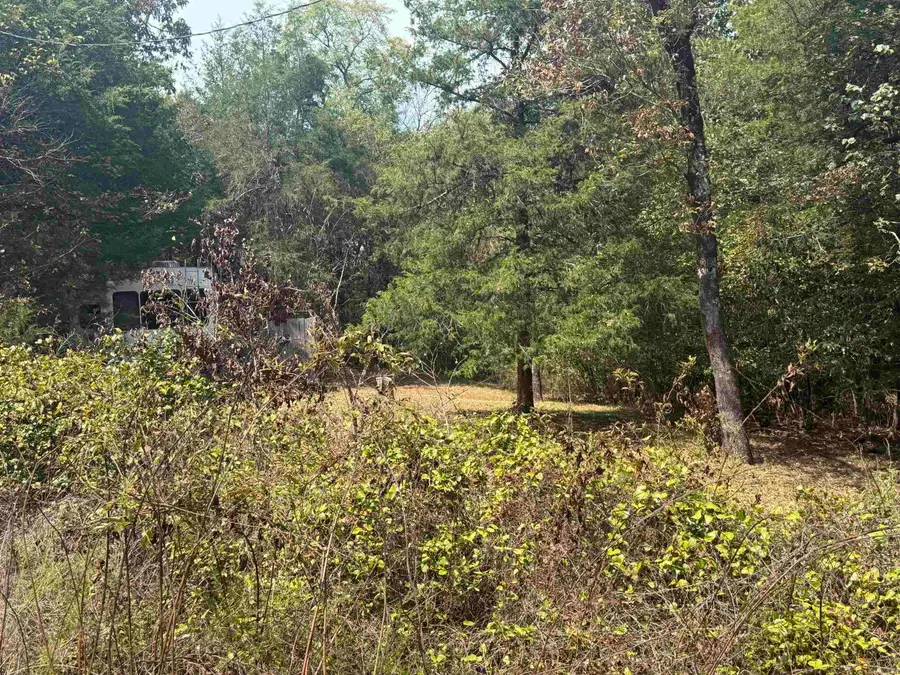 216 Polk Road 95, Mena, AR 71953 - #3
