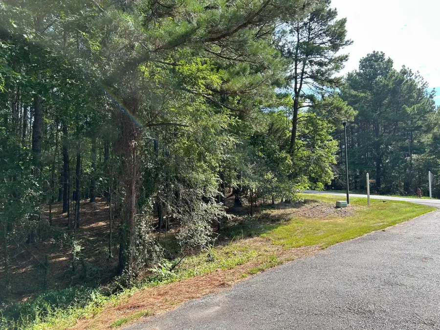 32 Pizarro Drive, Hot Springs Village, AR 71909 - #3