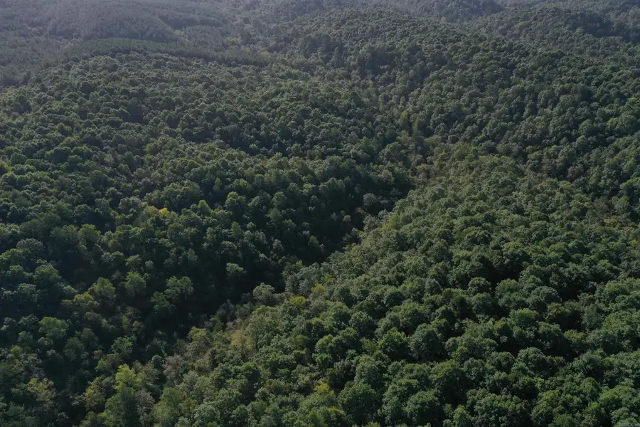 0000 Baker Rd, Grannis, AR 71944 - #3