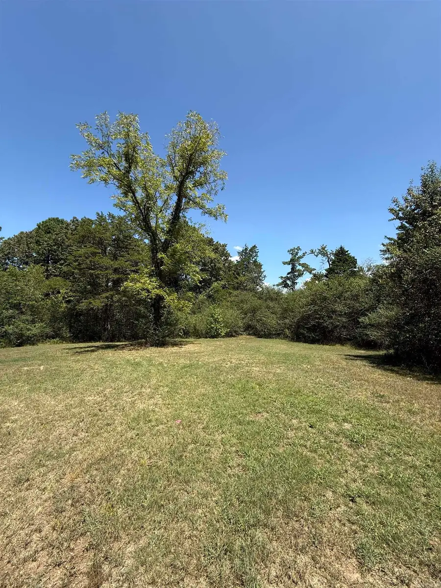 Address Withheld By Seller, Clinton, AR 72031 - #2