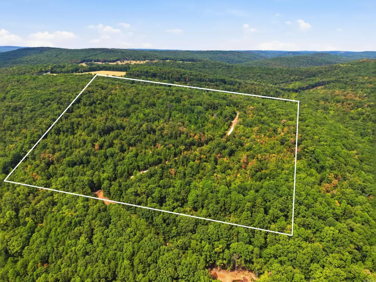 00 Oakland Road, Clinton, AR 72031 - #1
