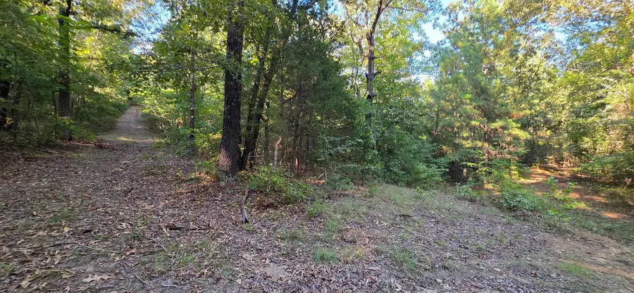 201 Hidden Ridge Road, El Paso, AR 72045 - #3