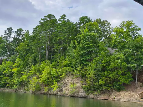 6 Sacedon Circle, Hot Springs Village, AR 71909