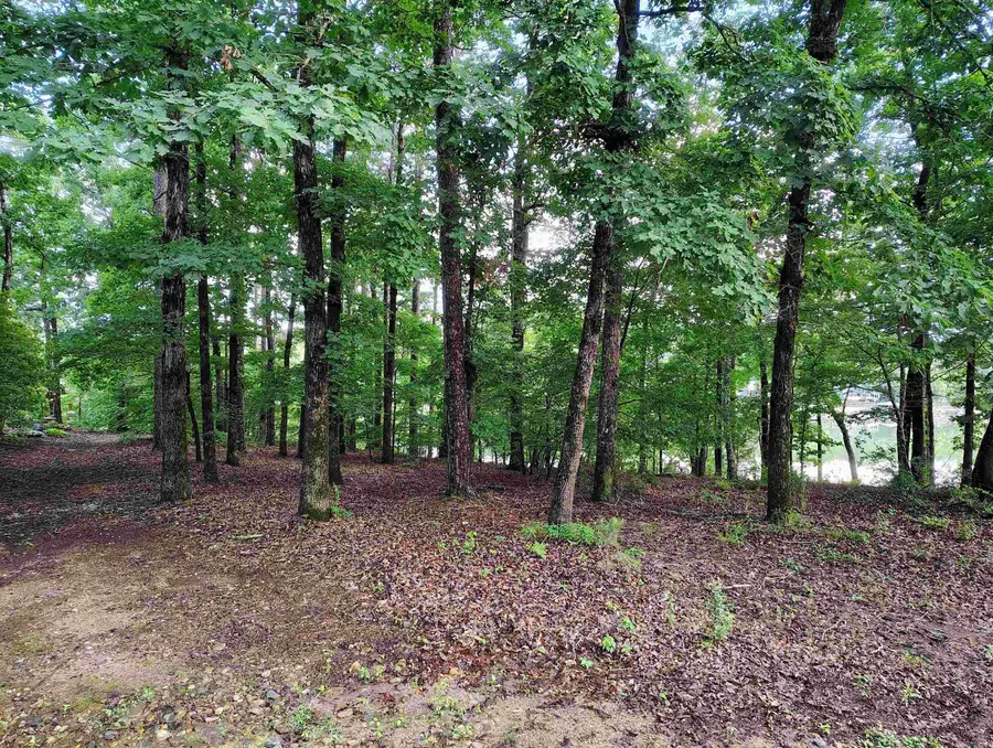 6 Sacedon Circle, Hot Springs Village, AR 71909 - #3