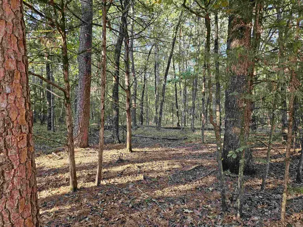 Lot 43 Pleasant Ridge Road, Greers Ferry, AR 72067
