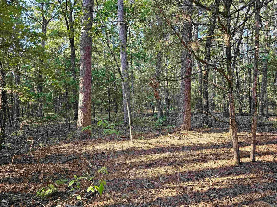 Lot 43 Pleasant Ridge Road, Greers Ferry, AR 72067 - #3