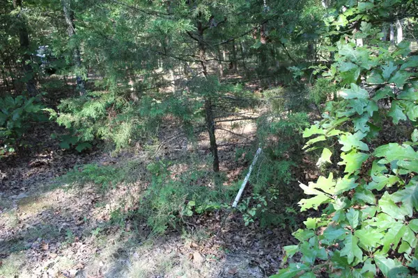 Lot 38 Jeb Road, Flippin, AR 72634