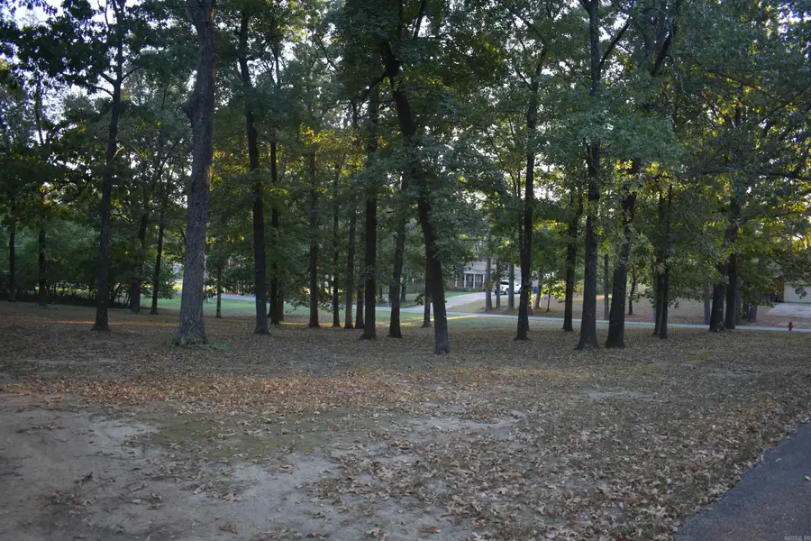 5003 Lynette Drive, Jonesboro, AR 72405 - #2