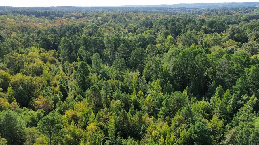 TBD Palmetto Loop, Bismarck, AR 71929 - #2