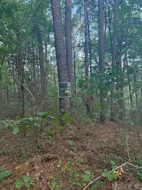 Address Withheld By Seller, Ozone, AR 72854 - #3