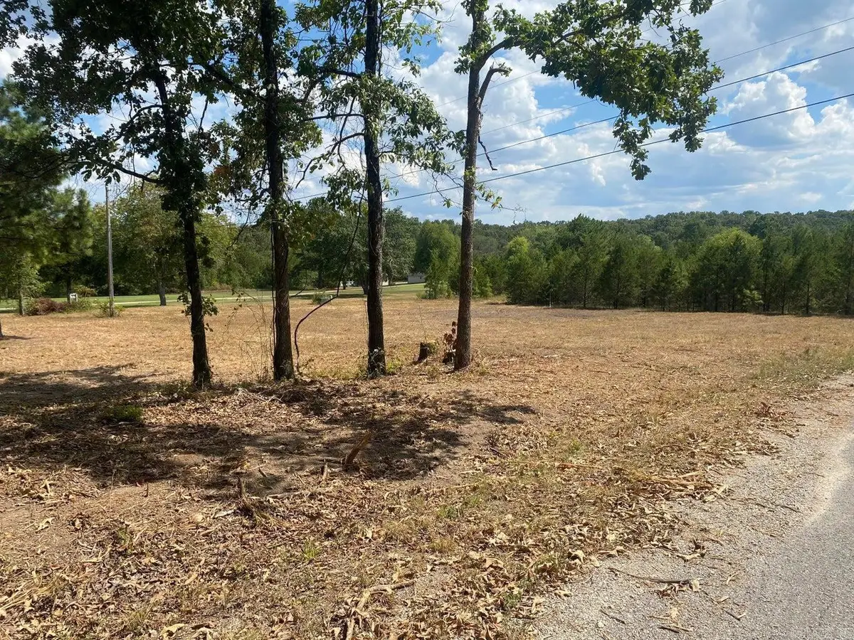 304/306 Wedge, Horseshoe Bend, AR 72512 - #1