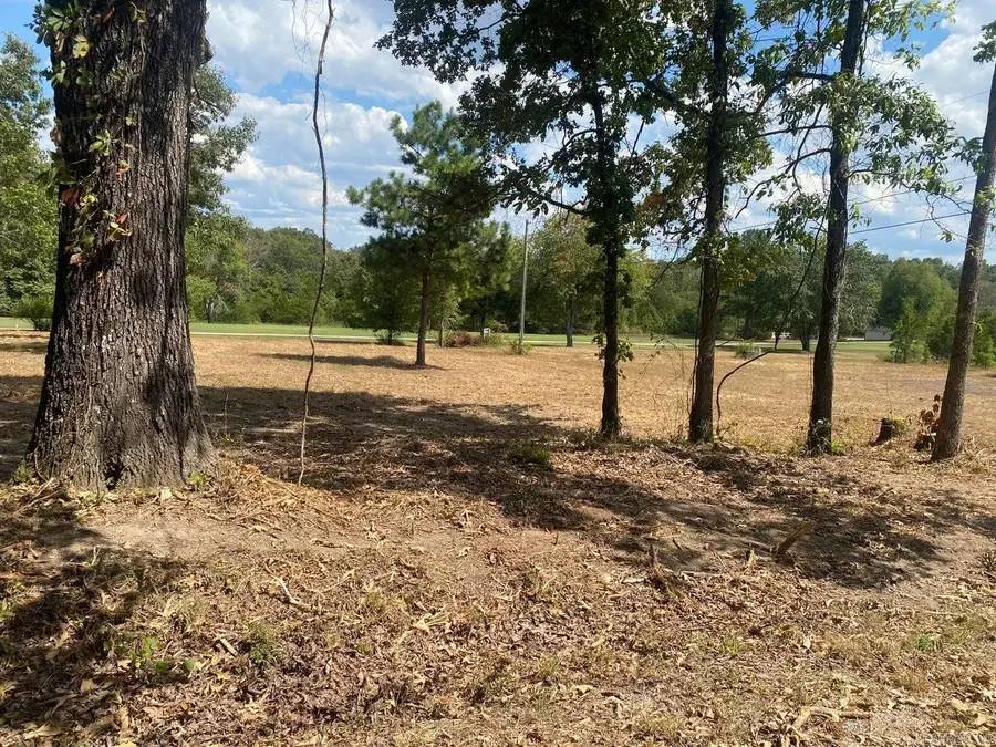 304/306 Wedge, Horseshoe Bend, AR 72512 - #2