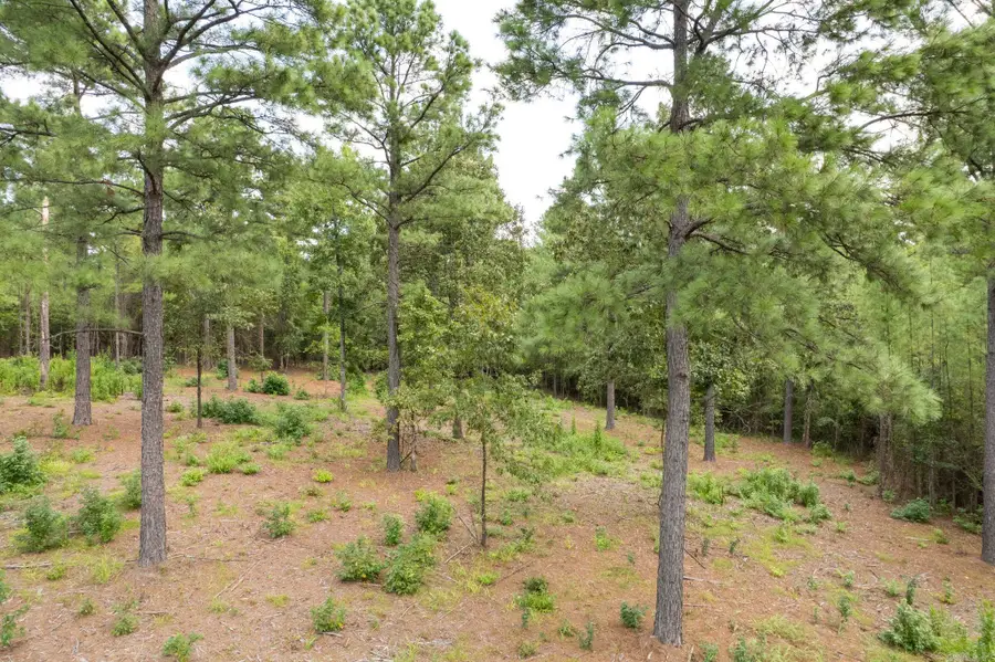 1500 Rushing Road, Little Rock, AR 72210 - #2