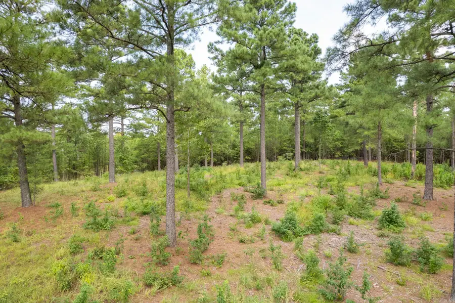 1500 Rushing Road, Little Rock, AR 72210 - #3
