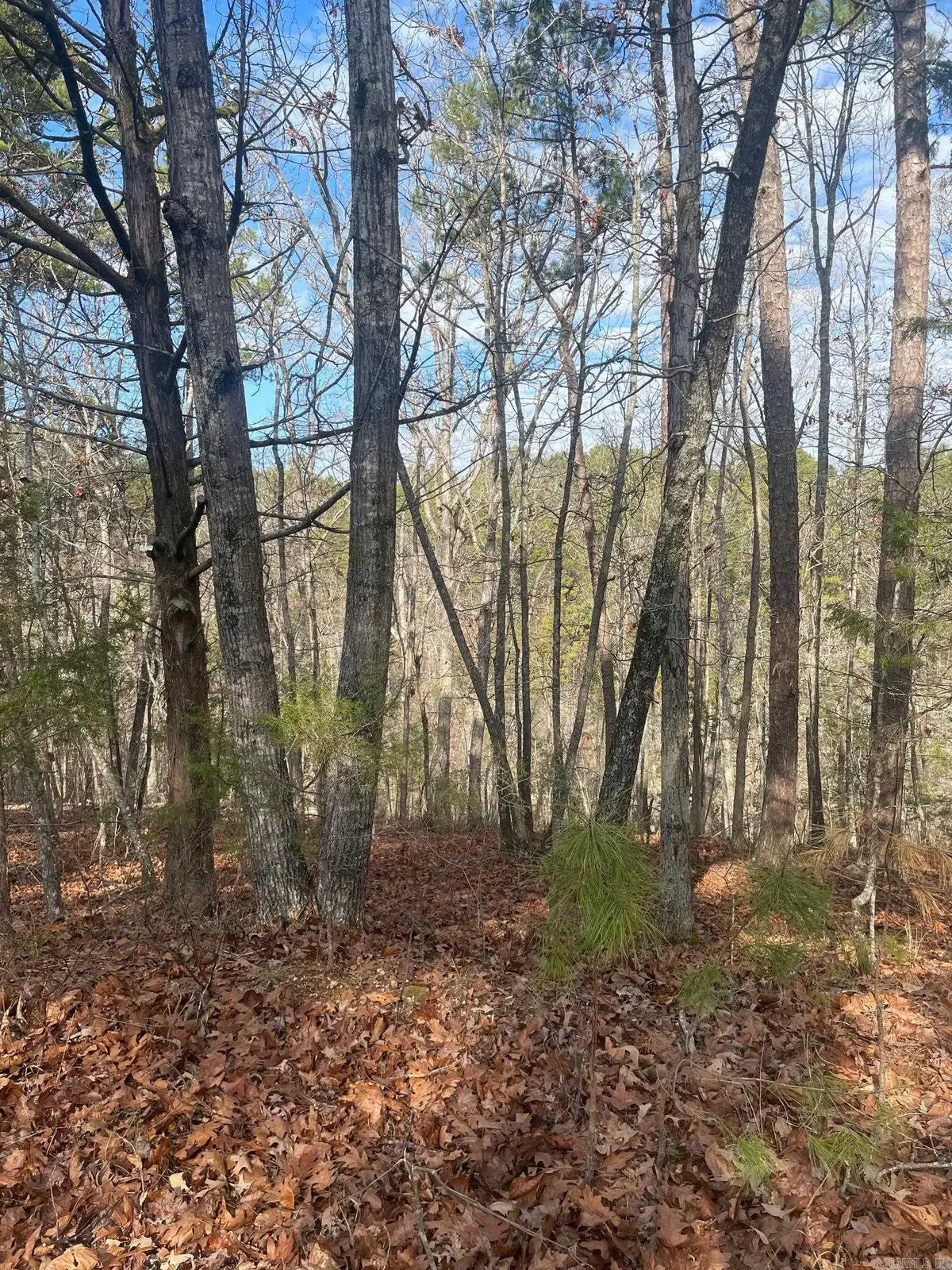 000 Lakeside Drive, Fairfield Bay, AR 72088 - #1