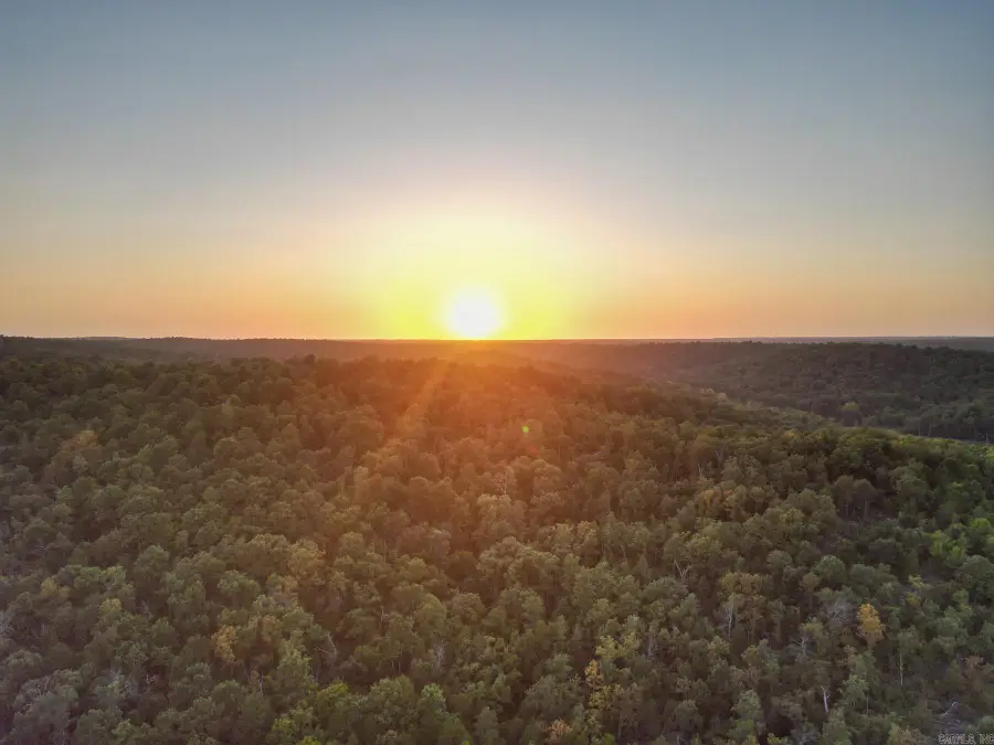 922 Baker Cemetery Road, Williford, AR 72482 - #3
