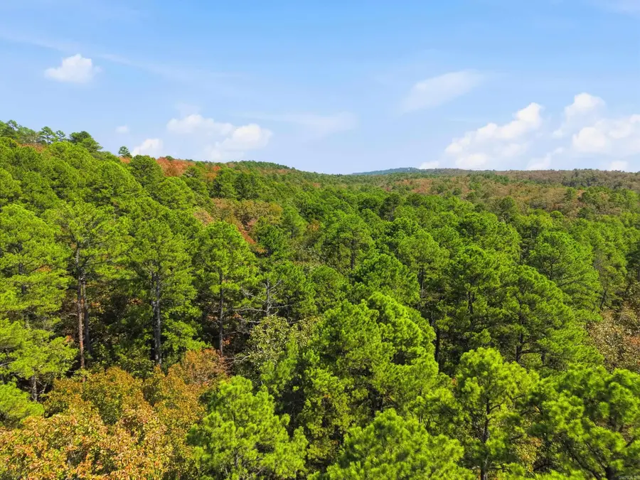 0 Rocky Gap Road, Conway, AR 72034 - #2