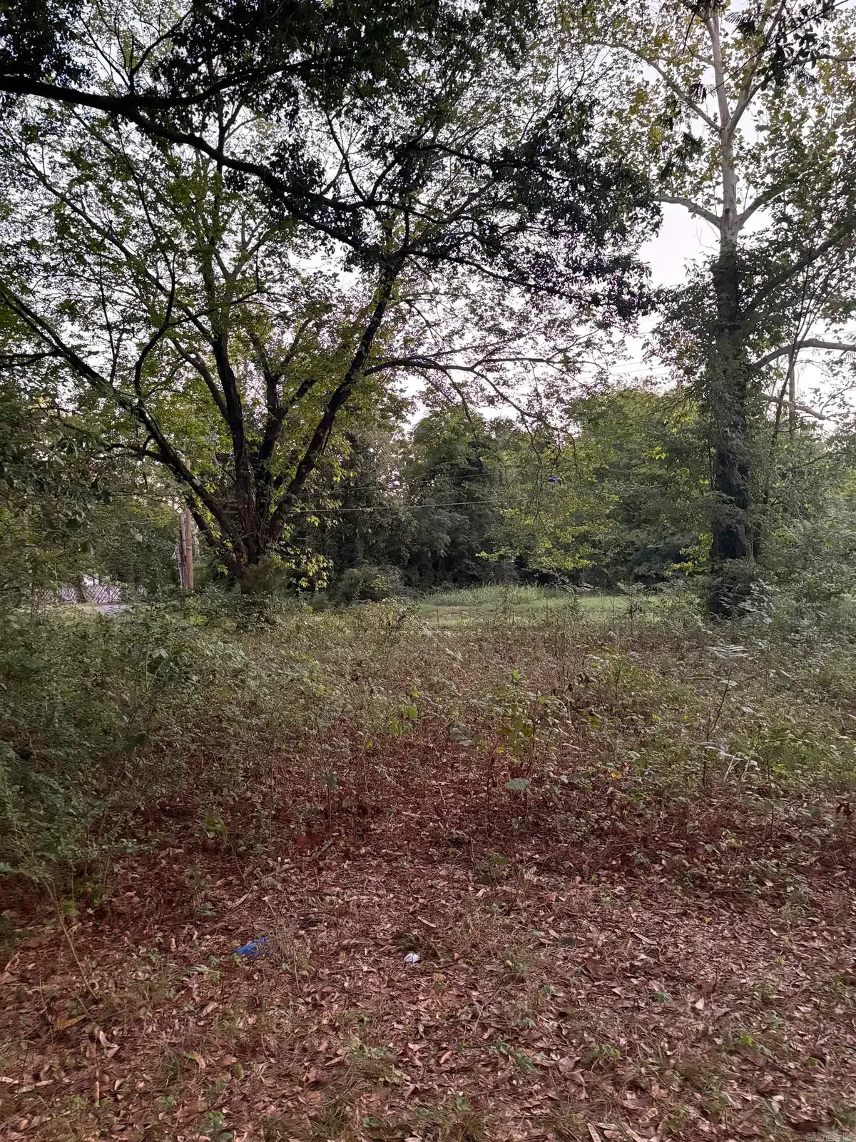 1820 West 12th Ave, Pine Bluff, AR 71603 - #1