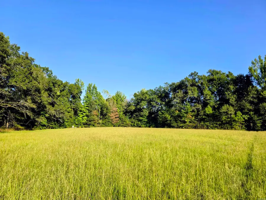 000 Rodgers Rd, Rison, AR 71665 - #2