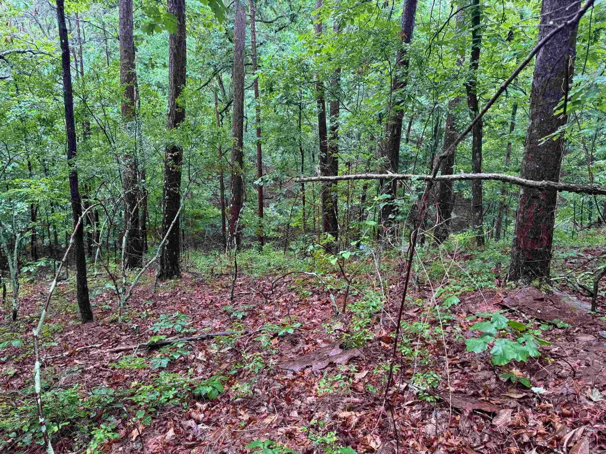 79 Greco Way, Hot Springs Village, AR 71909 - #1