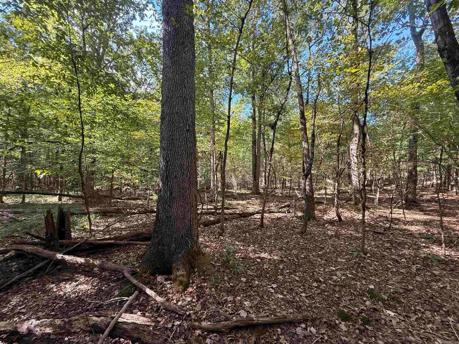 TBD Reed Road, Alexander, AR 72002 - #2