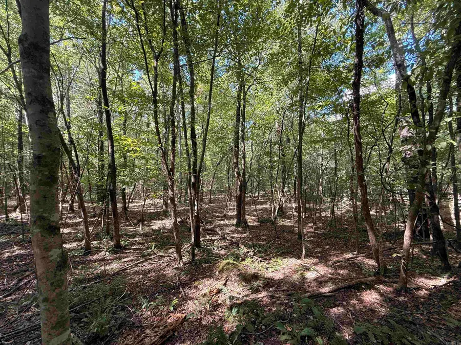 TBD Reed Road, Alexander, AR 72002 - #3