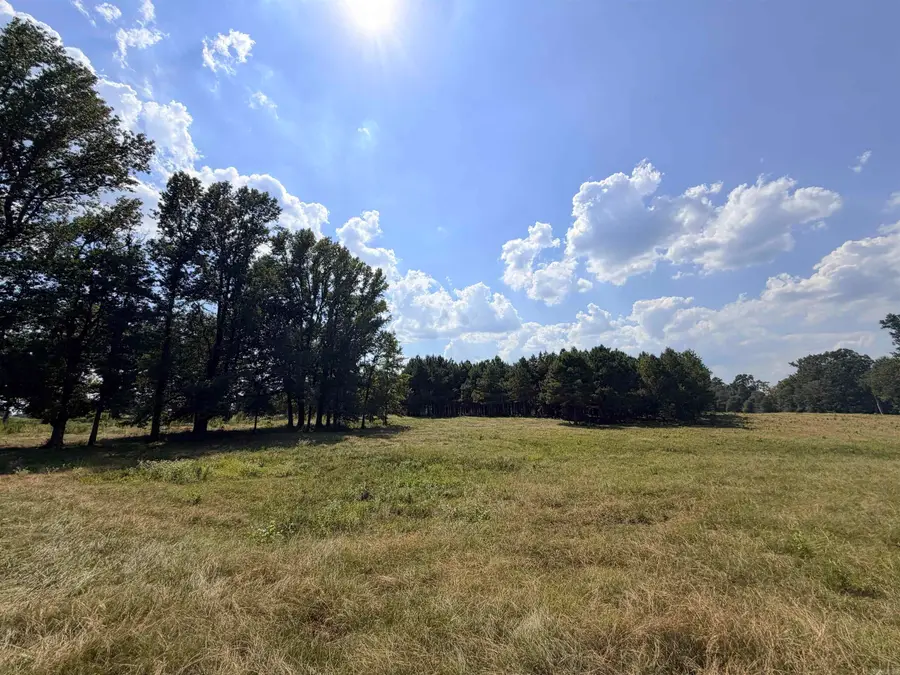 Little River 144, Ashdown, AR 71822 - #2