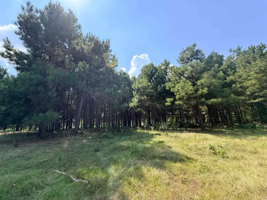 Little River 144, Ashdown, AR 71822 - #3