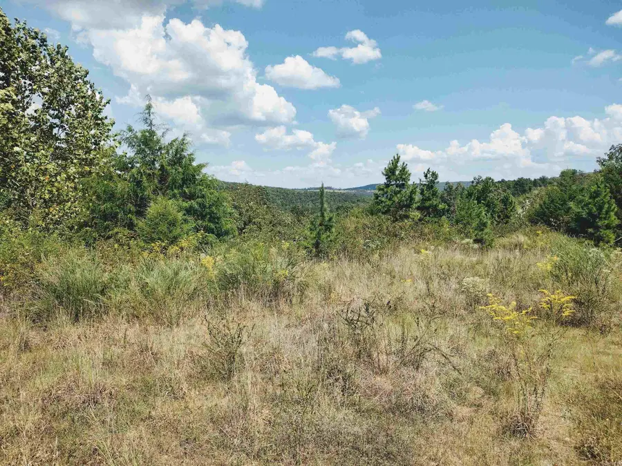 0 Hwy 9 S, Mountain View, AR 72560 - #3