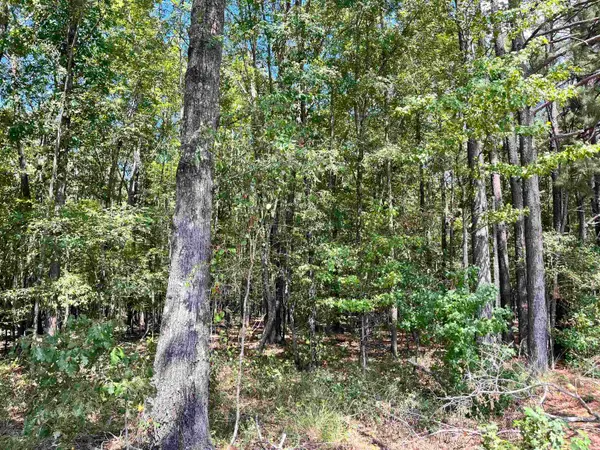 1209 Pine Drive, Haskell, AR 72015