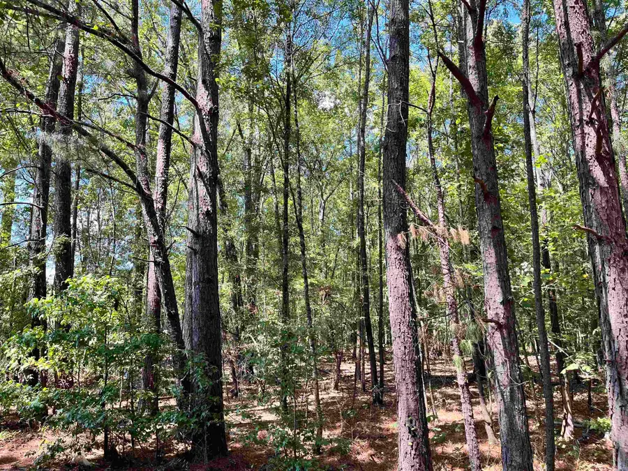 1209 Pine Drive, Haskell, AR 72015 - #3