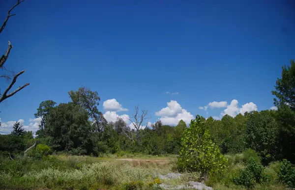 3324 Hilldale Road, Alexander, AR 72002