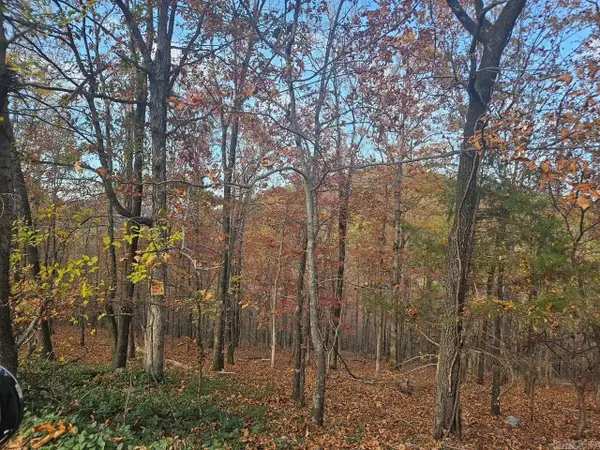 45 Binefar Way, Hot Springs Village, AR 71909