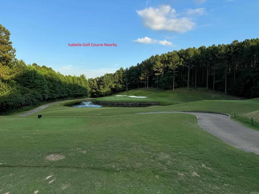 45 Binefar Way, Hot Springs Village, AR 71909 - #3
