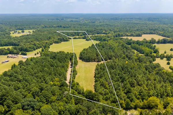 TBD 24Ac Tract Shandy Road, Arkadelphia, AR 71923