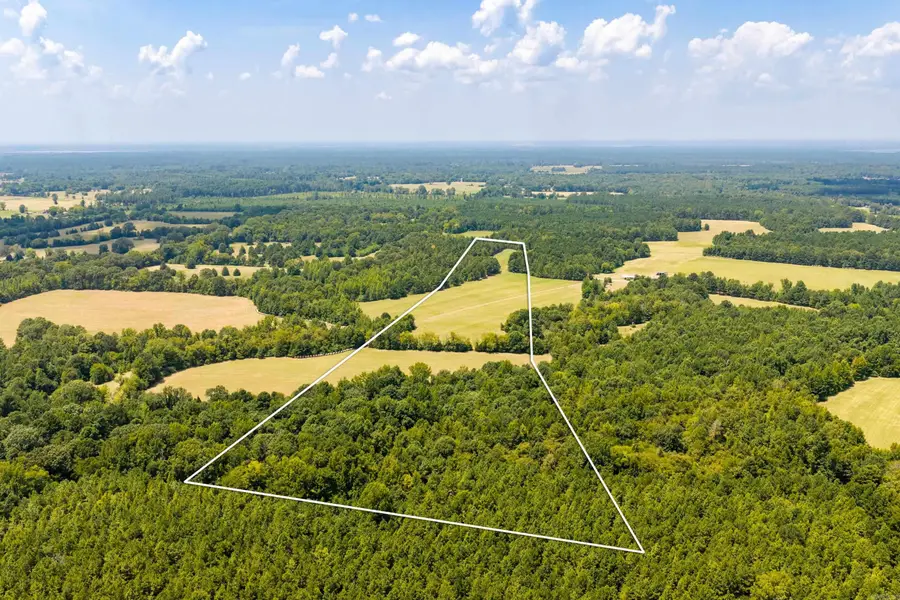 TBD 24Ac Tract Shandy Road, Arkadelphia, AR 71923 - #2