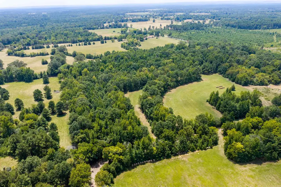 TBD 15.Ac Tract Shandy Road, Arkadelphia, AR 71923 - #3